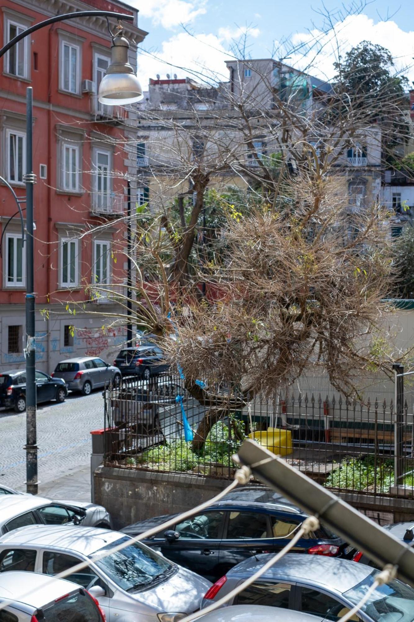 La Casa Di Nanninella Vakantiehuis